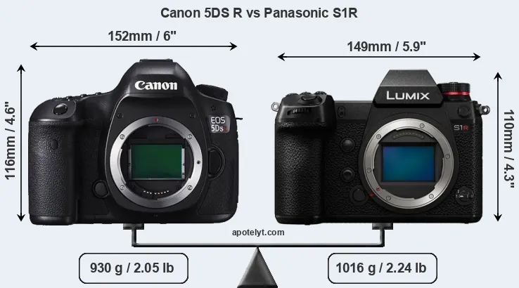 Size Canon 5DS R vs Panasonic S1R