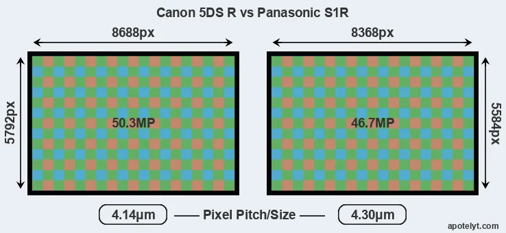 5DS R versus S1R MP
