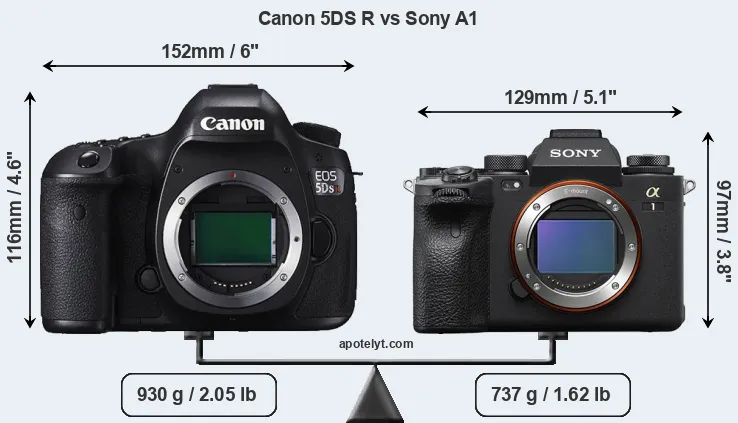 Size Canon 5DS R vs Sony A1