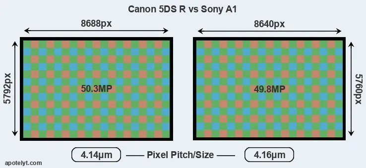5DS R versus A1 MP