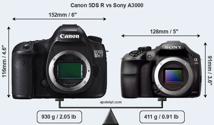 Size Canon 5DS R vs Sony A3000