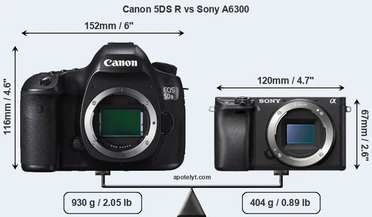 Size Canon 5DS R vs Sony A6300