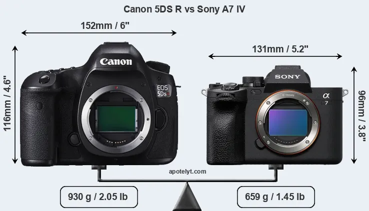 Size Canon 5DS R vs Sony A7 IV