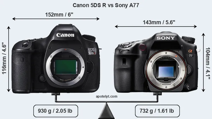 Size Canon 5DS R vs Sony A77