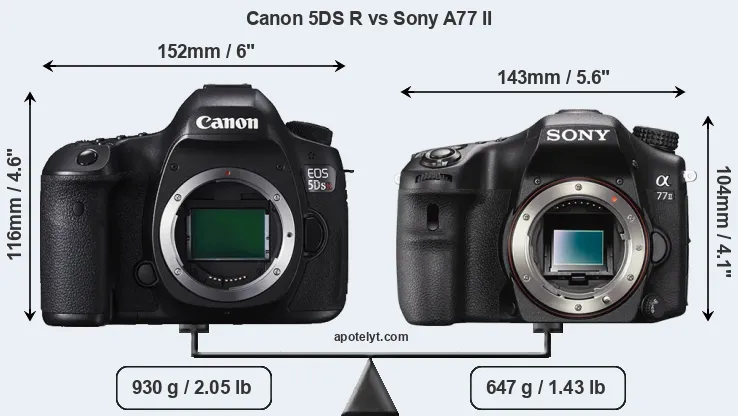 Size Canon 5DS R vs Sony A77 II