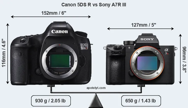 Size Canon 5DS R vs Sony A7R III