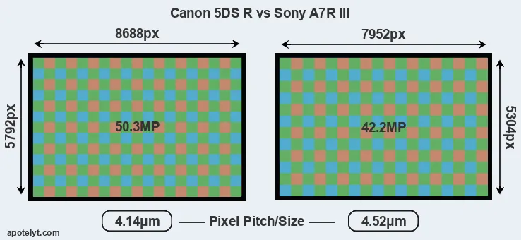 5DS R versus A7R III MP