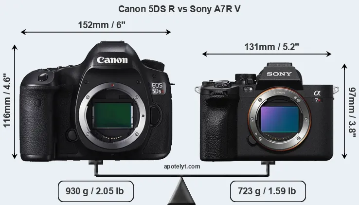 Size Canon 5DS R vs Sony A7R V