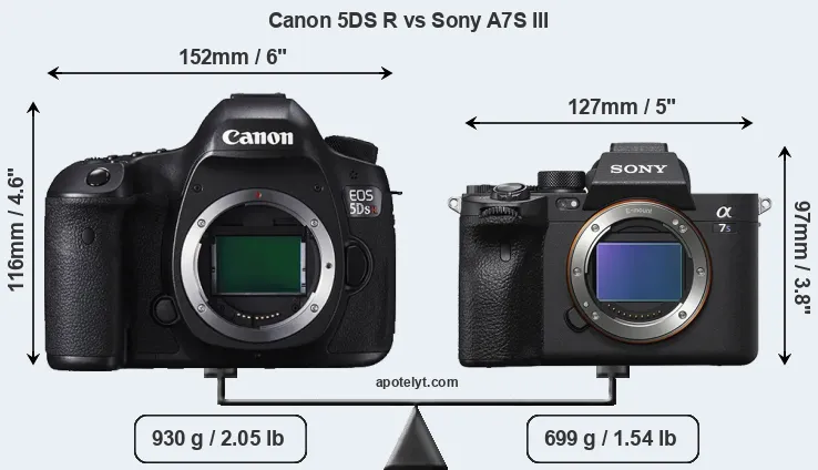 Size Canon 5DS R vs Sony A7S III
