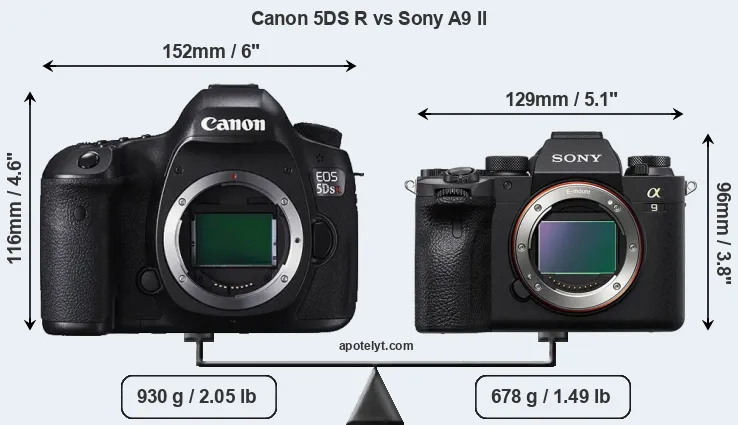 Size Canon 5DS R vs Sony A9 II
