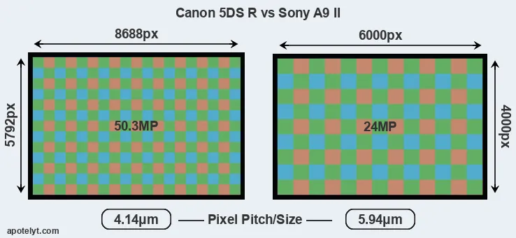 5DS R versus A9 II MP