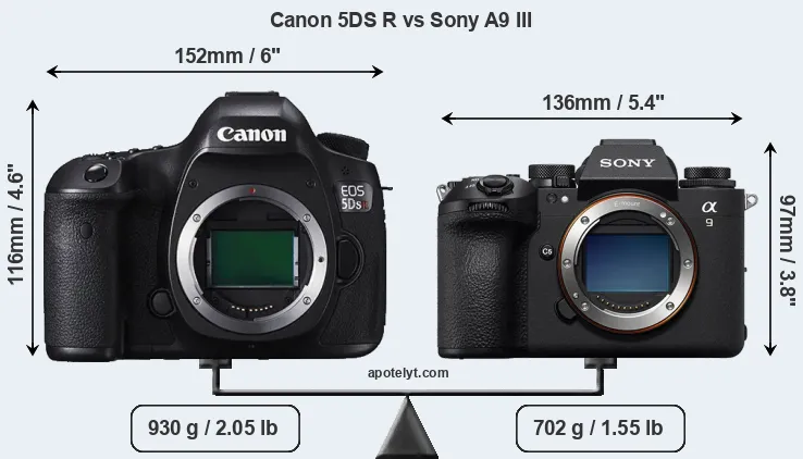 Size Canon 5DS R vs Sony A9 III