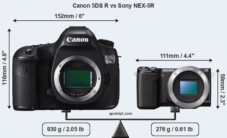 Size Canon 5DS R vs Sony NEX-5R
