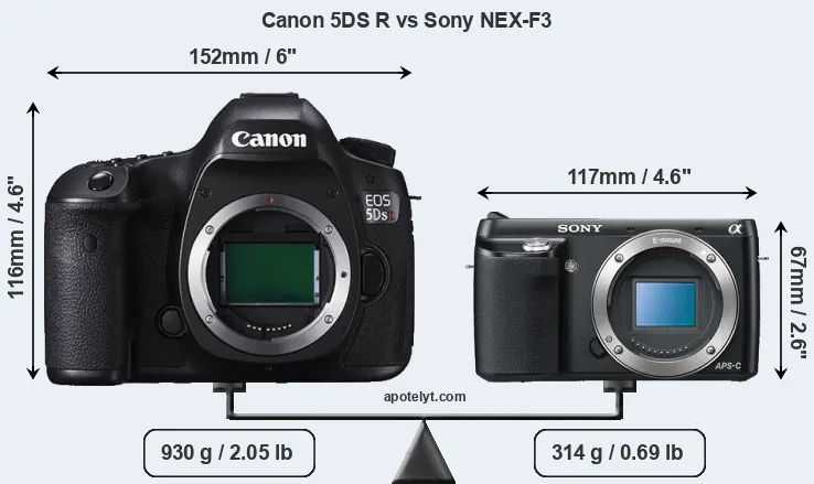 Size Canon 5DS R vs Sony NEX-F3