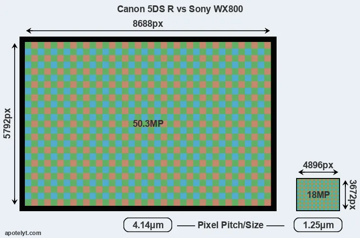 5DS R versus WX800 MP