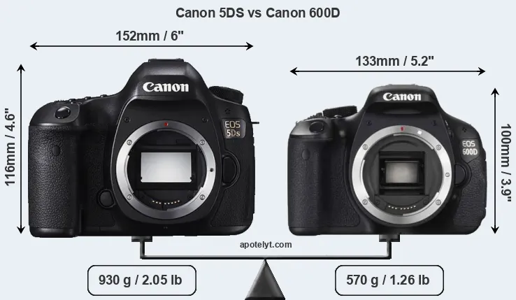 Size Canon 5DS vs Canon 600D
