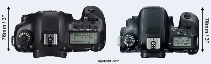 Compare 5DS versus 77D top