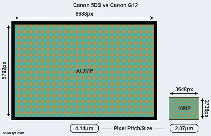5DS versus G12 MP