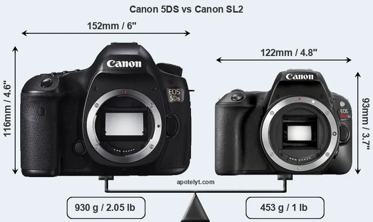Size Canon 5DS vs Canon SL2