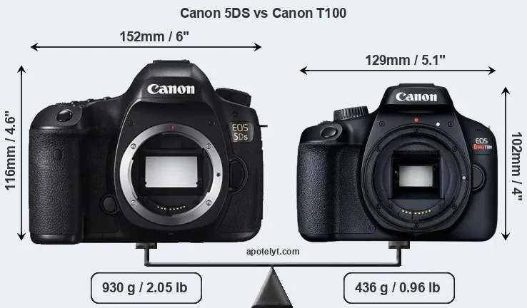 Size Canon 5DS vs Canon T100