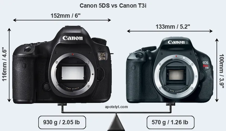 Size Canon 5DS vs Canon T3i