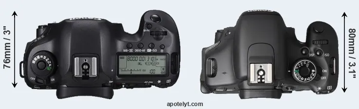 Compare 5DS versus T3i top