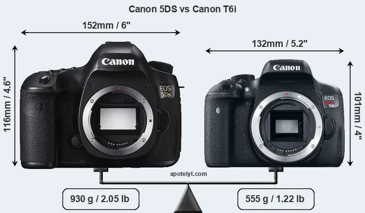 Size Canon 5DS vs Canon T6i