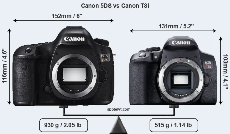 Size Canon 5DS vs Canon T8i