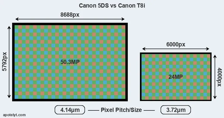 5DS versus T8i MP