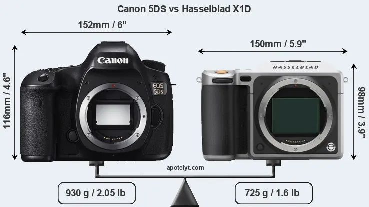 Size Canon 5DS vs Hasselblad X1D