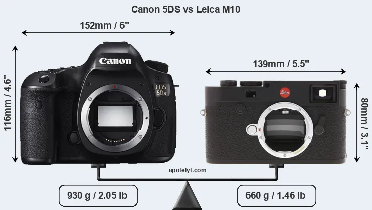 Size Canon 5DS vs Leica M10