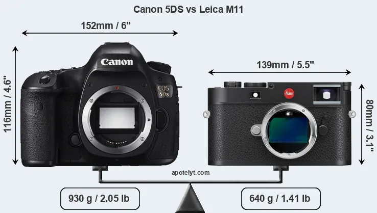 Size Canon 5DS vs Leica M11