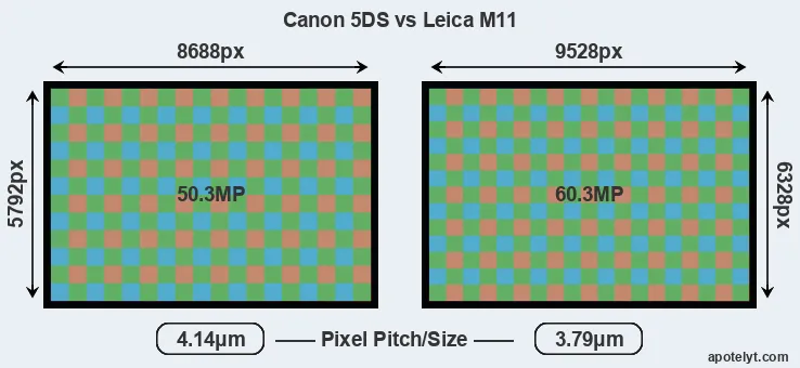 5DS versus M11 MP