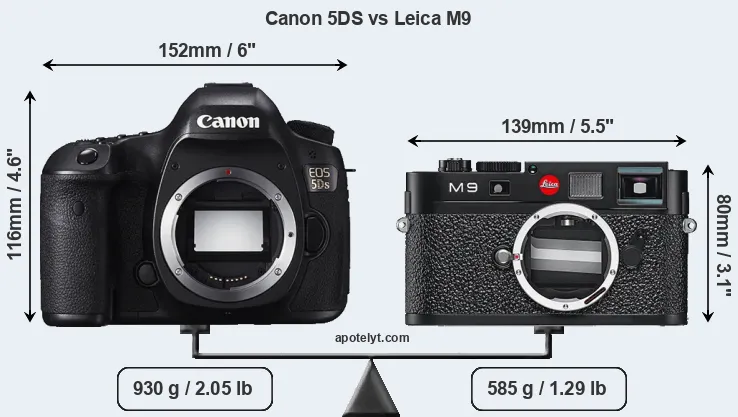 Size Canon 5DS vs Leica M9