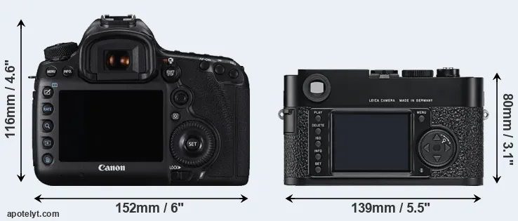 Comparison 5DS or M9 rear