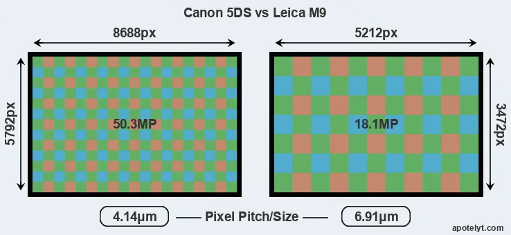 5DS versus M9 MP