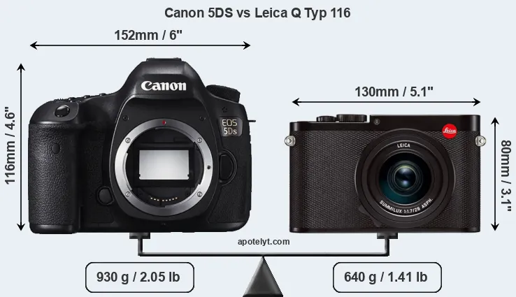 Size Canon 5DS vs Leica Q Typ 116