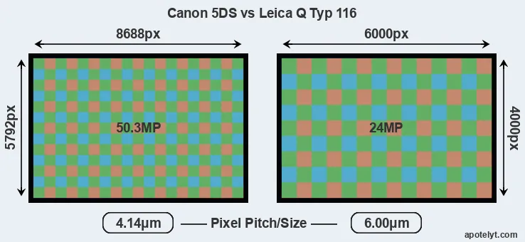 5DS versus Q Typ 116 MP
