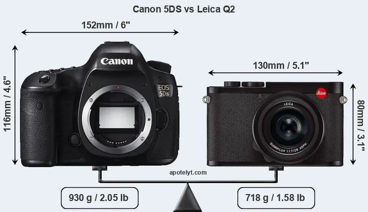 Size Canon 5DS vs Leica Q2