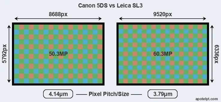 5DS versus Leica SL3 MP