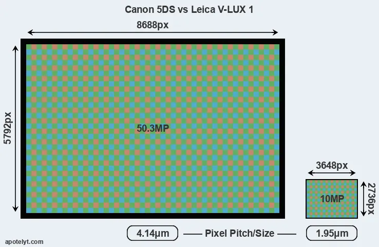 5DS versus V-LUX 1 MP