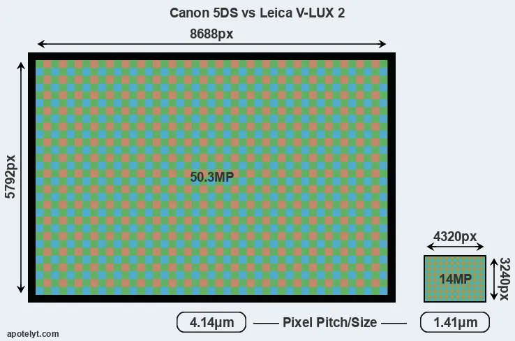 5DS versus V-LUX 2 MP