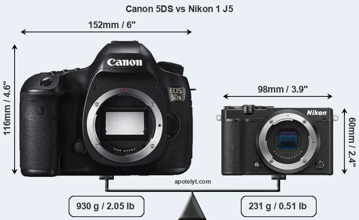 Size Canon 5DS vs Nikon 1 J5