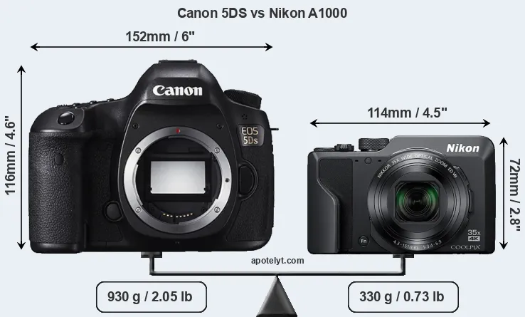 Size Canon 5DS vs Nikon A1000