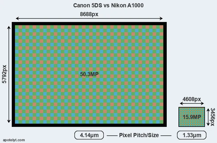 5DS versus A1000 MP
