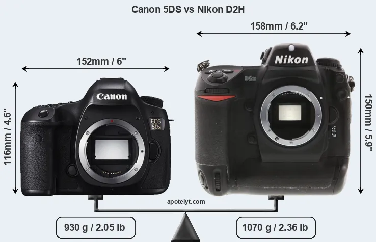 Size Canon 5DS vs Nikon D2H
