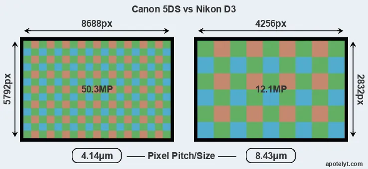 5DS versus D3 MP