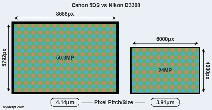 5DS versus D3300 MP