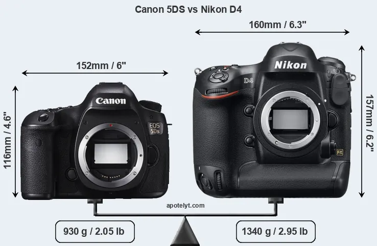 Size Canon 5DS vs Nikon D4