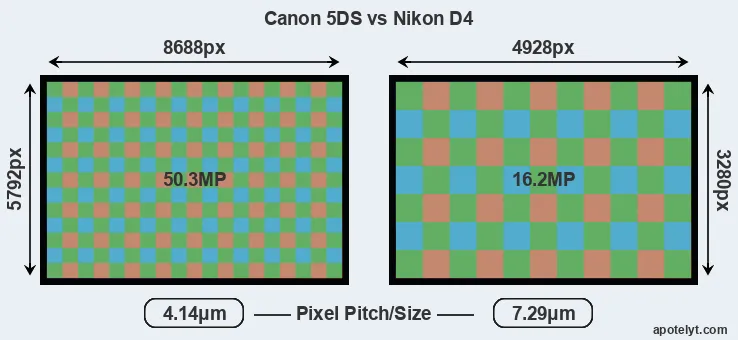 5DS versus D4 MP